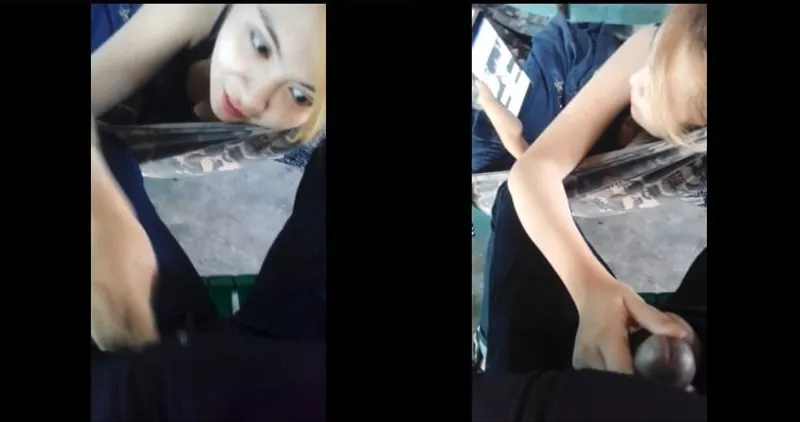 Bồ sữa đặc nghịch